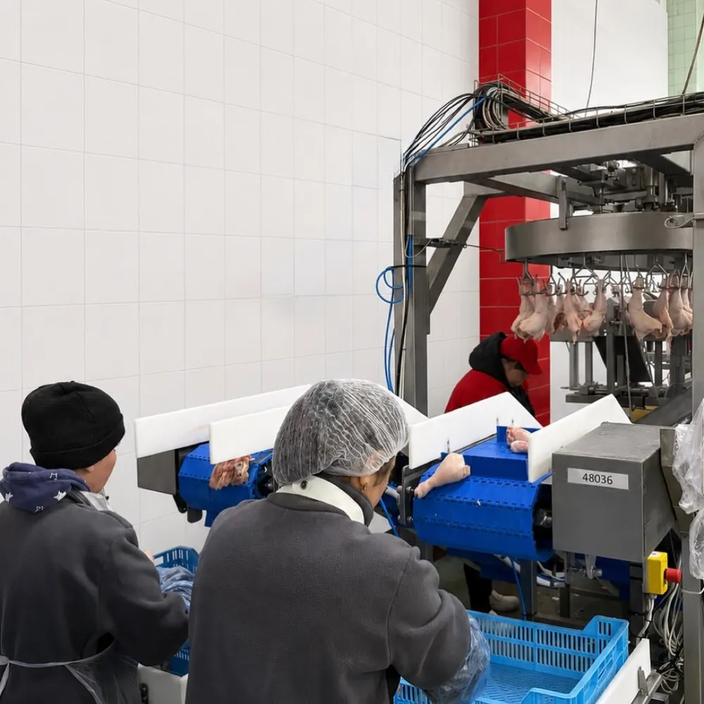 Дільниця пакування продукції
